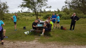 Grindsted motion i grene sande