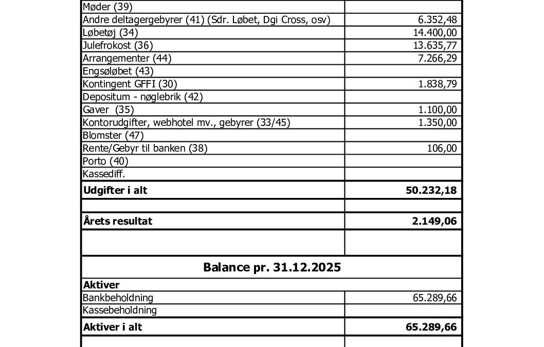 2025 – Regnskab